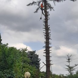 Pielęgnacja ogrodów Wyry 1