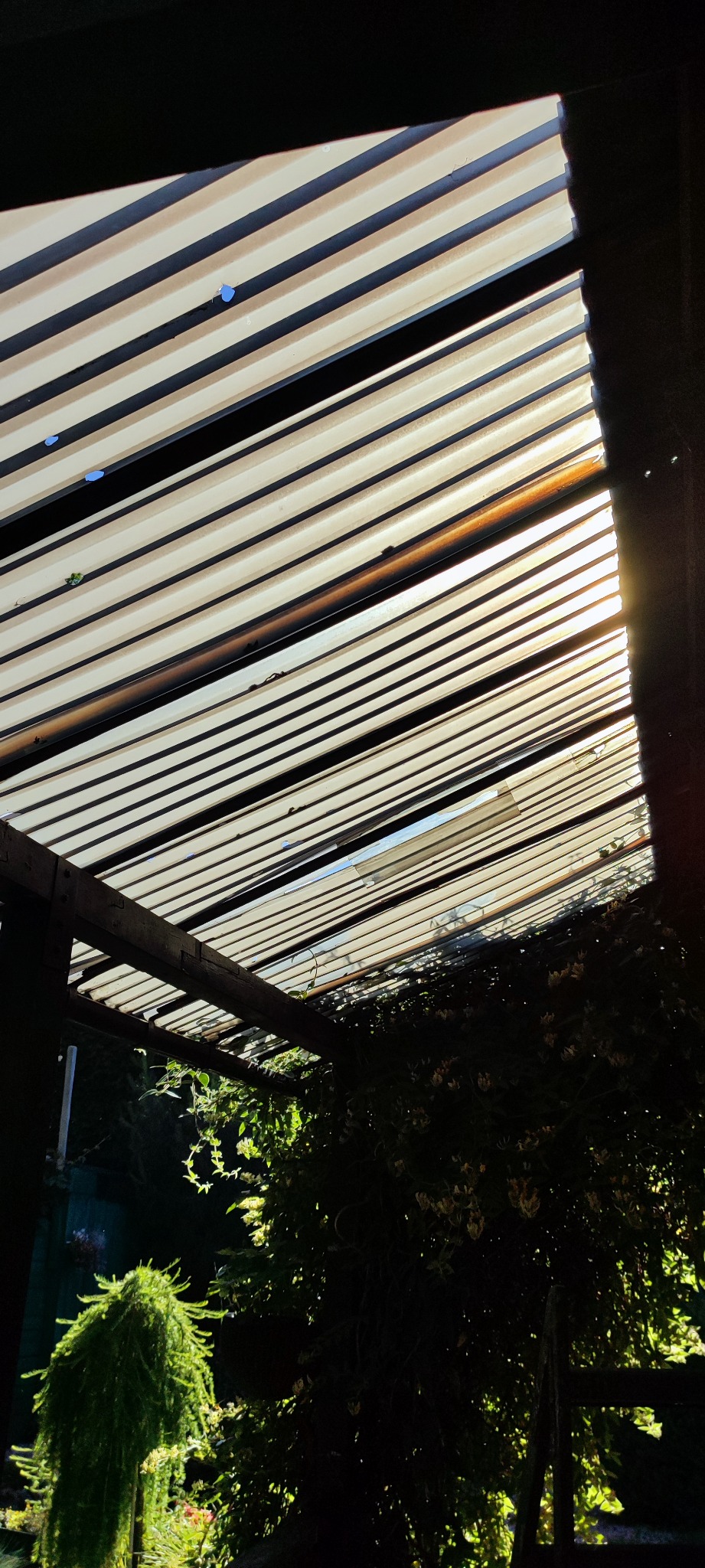 Stary daszek z altany