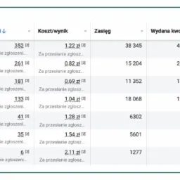 Tabela z danymi statystycznymi kampanii reklamowej online, prezentująca wyniki, koszt/wynik, zasięg i wydaną kwotę dla przesłanych zgłoszeń.