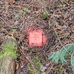 Geodeta Białystok 4