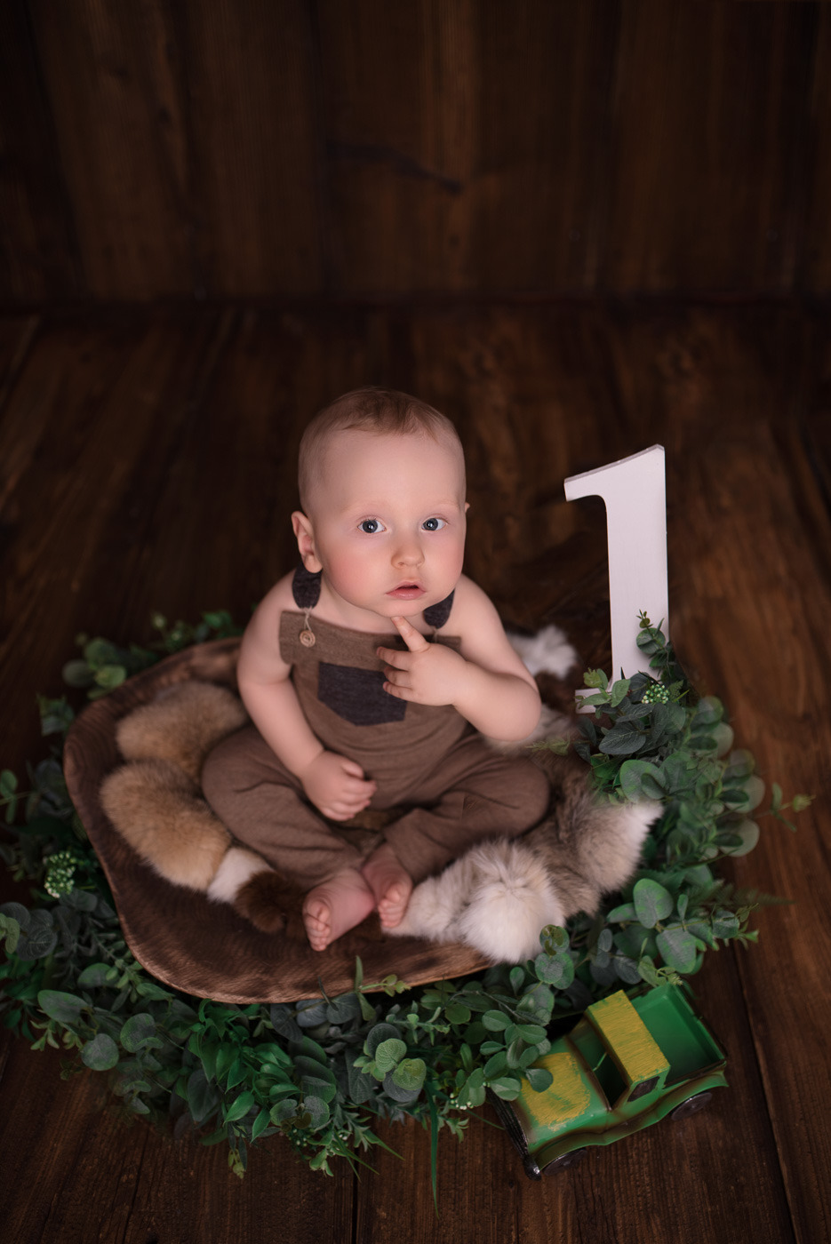 Roczne dziecko w brązowym kombinezonie siedzi w drewnianej misie wyłożonej futrem, otoczonej zielonymi gałązkami, obok biała cyfra 1 i zabawkowy zielony samochodzik.
