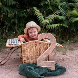 Uśmiechnięty dwuletni chłopiec w słomkowym kapeluszu siedzi w wiklinowym koszu piknikowym z niebieską kratą, obok stoi drewniana cyfra '2', a w tle zielona roślinność.