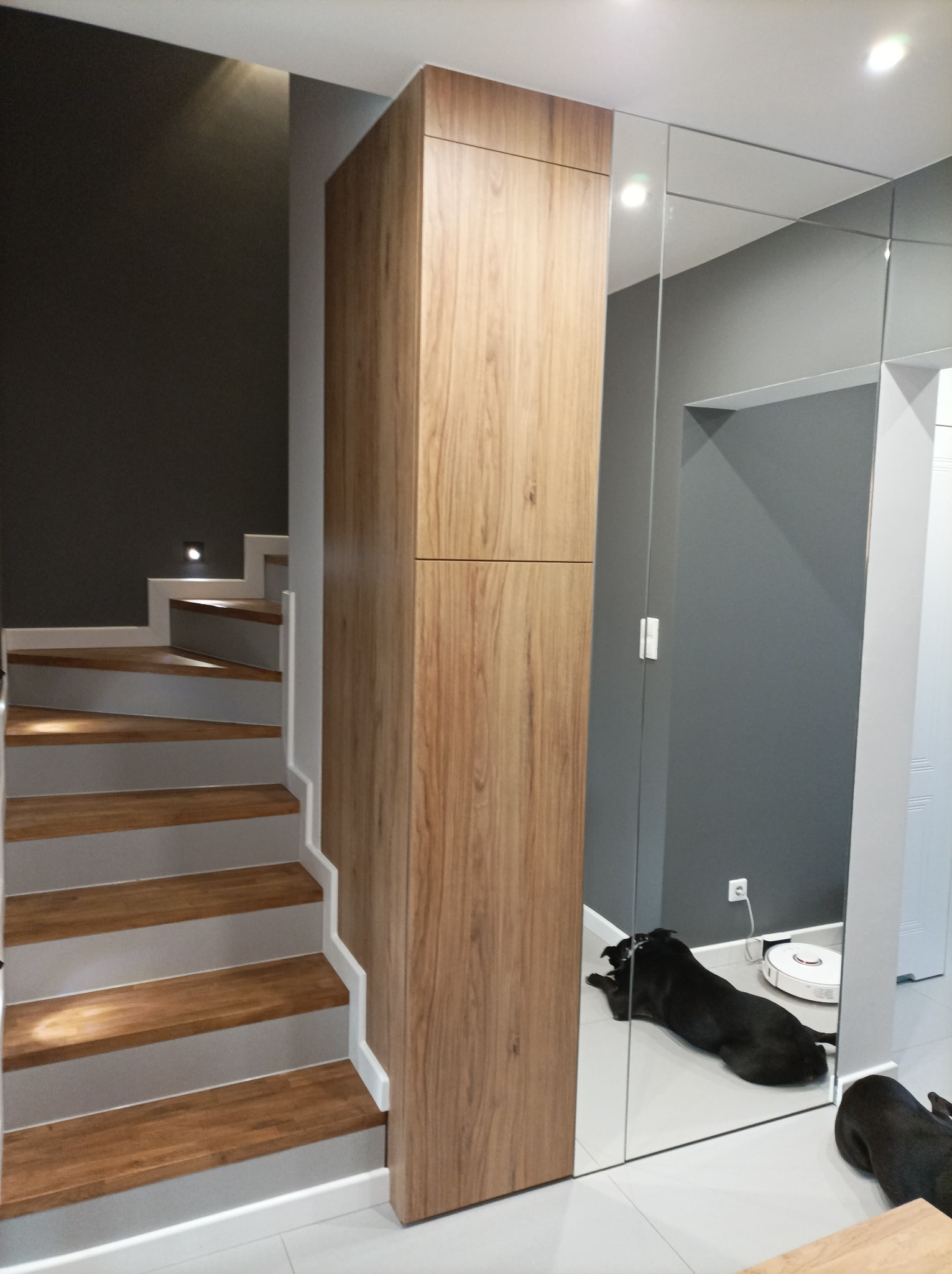 Nowoczesne wnętrze z drewnianymi schodami, zabudowaną szafą z forniru i lustrzaną ścianą, w której odbija się czarny pies leżący obok robota sprzątającego.