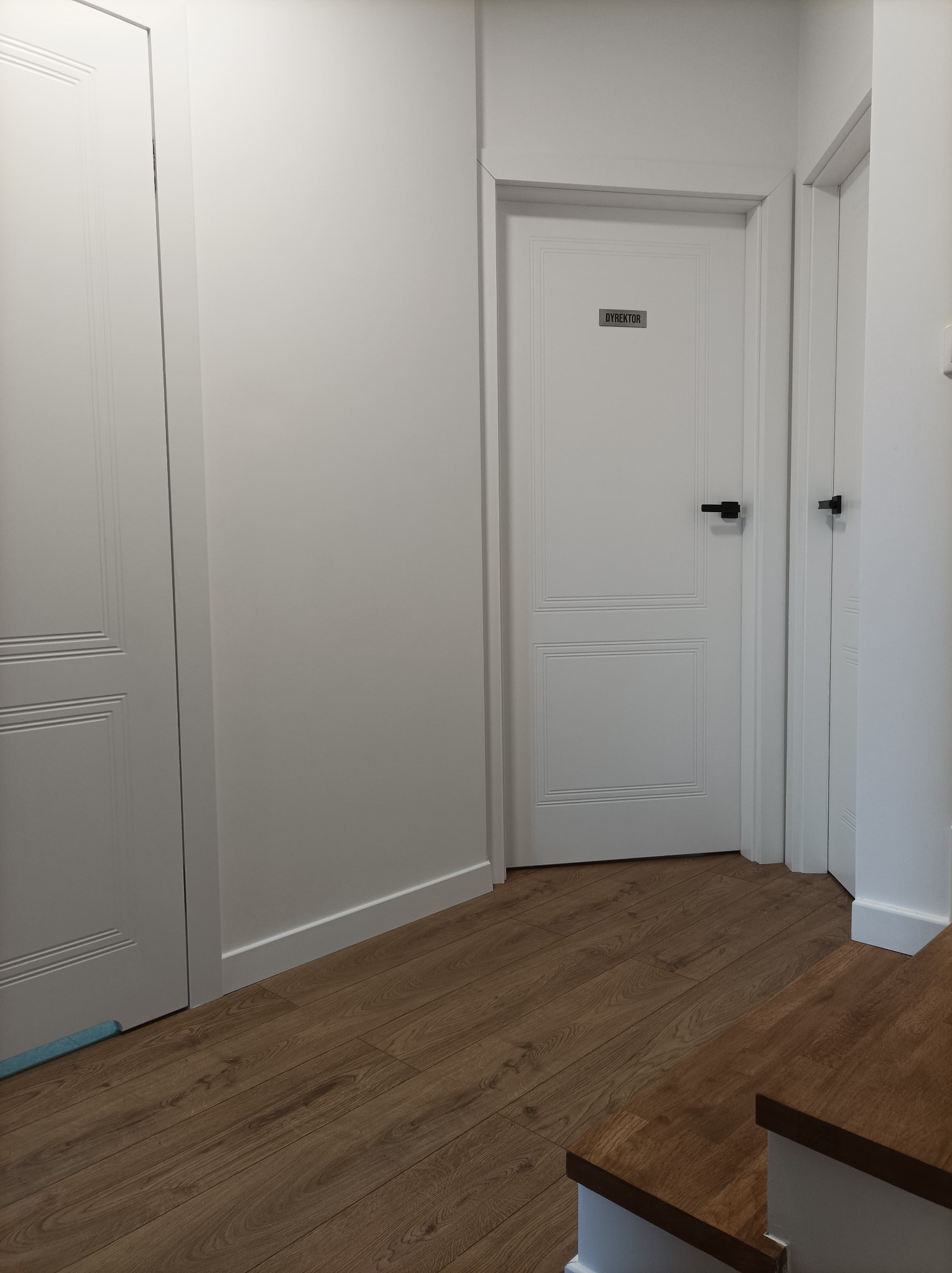 Korytarz biurowy z trzema białymi drzwiami, brązową podłogą imitującą drewno i czarnymi klamkami. Na środkowych drzwiach tabliczka z napisem 'DYREKTOR'.