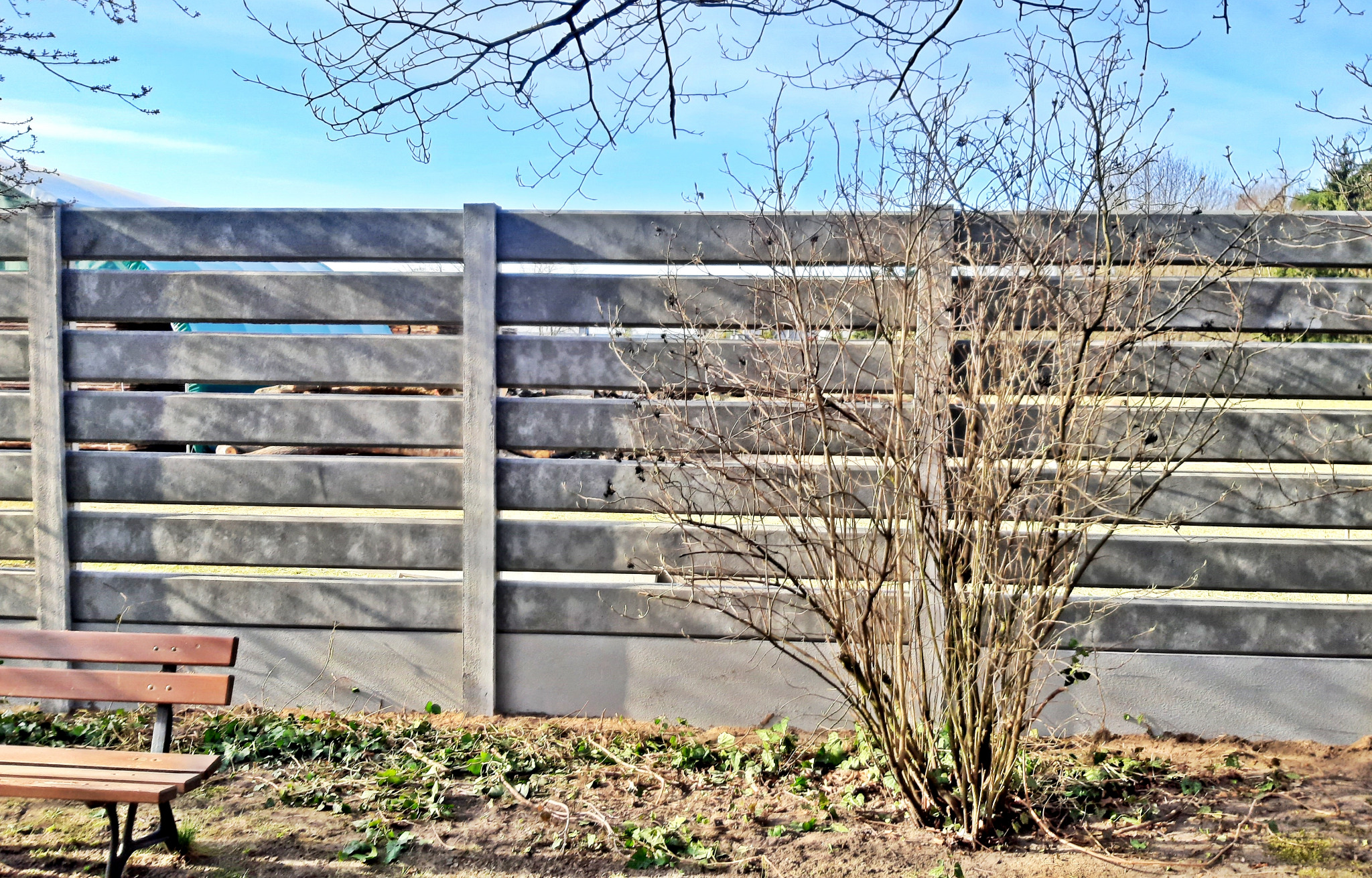 Nowoczesne, poziome, szare panele ogrodzeniowe z betonu z widoczną ławką i krzewem bez liści na pierwszym planie, w tle błękitne niebo.