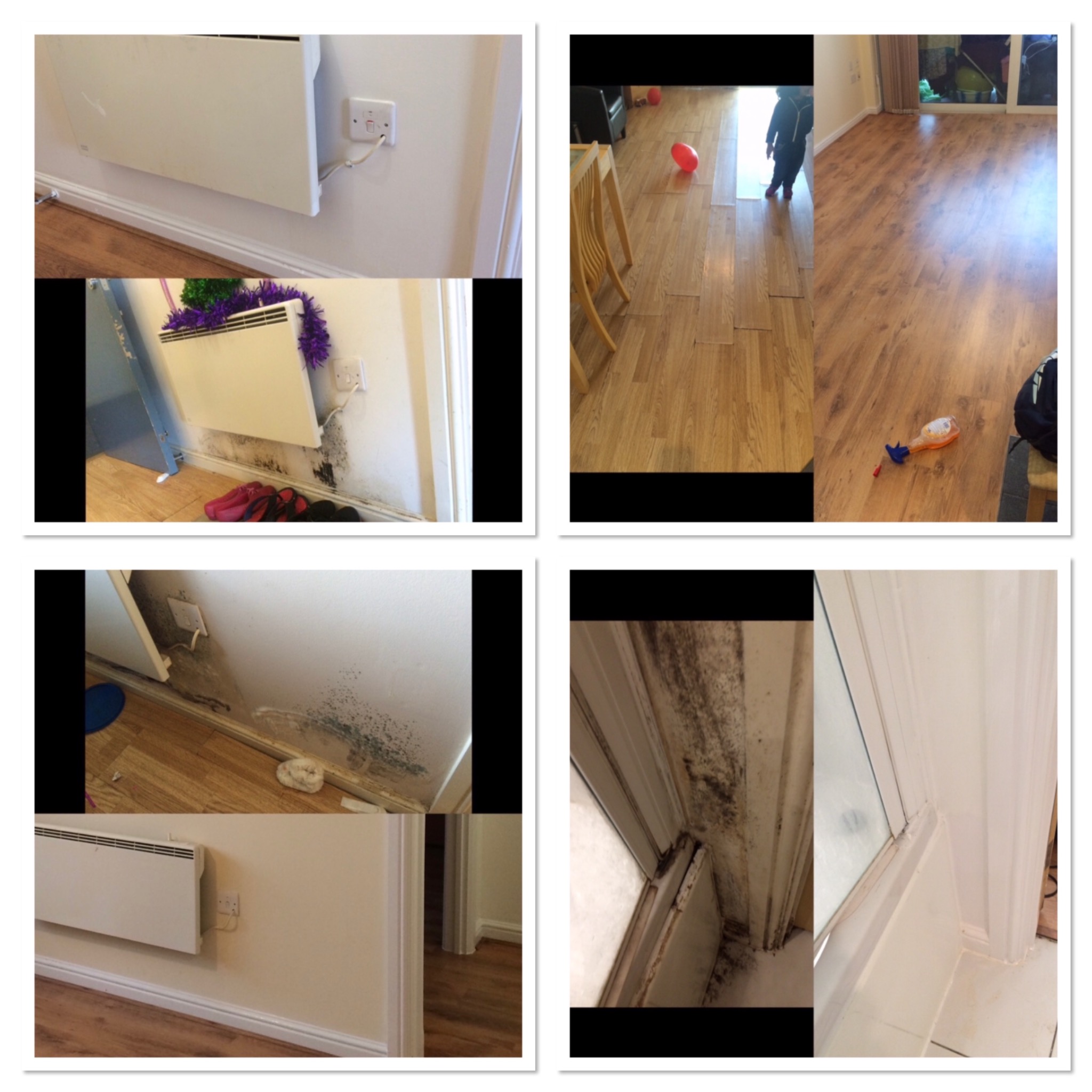 Kompozycja zdjęć przedstawia fragmenty mieszkania z widocznymi uszkodzeniami spowodowanymi wilgocią i pleśnią na ścianach, podłogach i framugach okiennych, ukazujące potrzebę interwencji remontowej.