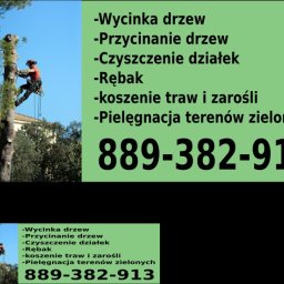CZEREMCHA - Rewelacyjne Ścinanie Drzew Sochaczew