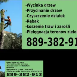 Arborysta w pomarańczowym kombinezonie, zabezpieczony linami, przycina wysokie drzewo. W tle budynek i błękitne niebo. Po prawej stronie grafika z listą usług i numerem telefonu.