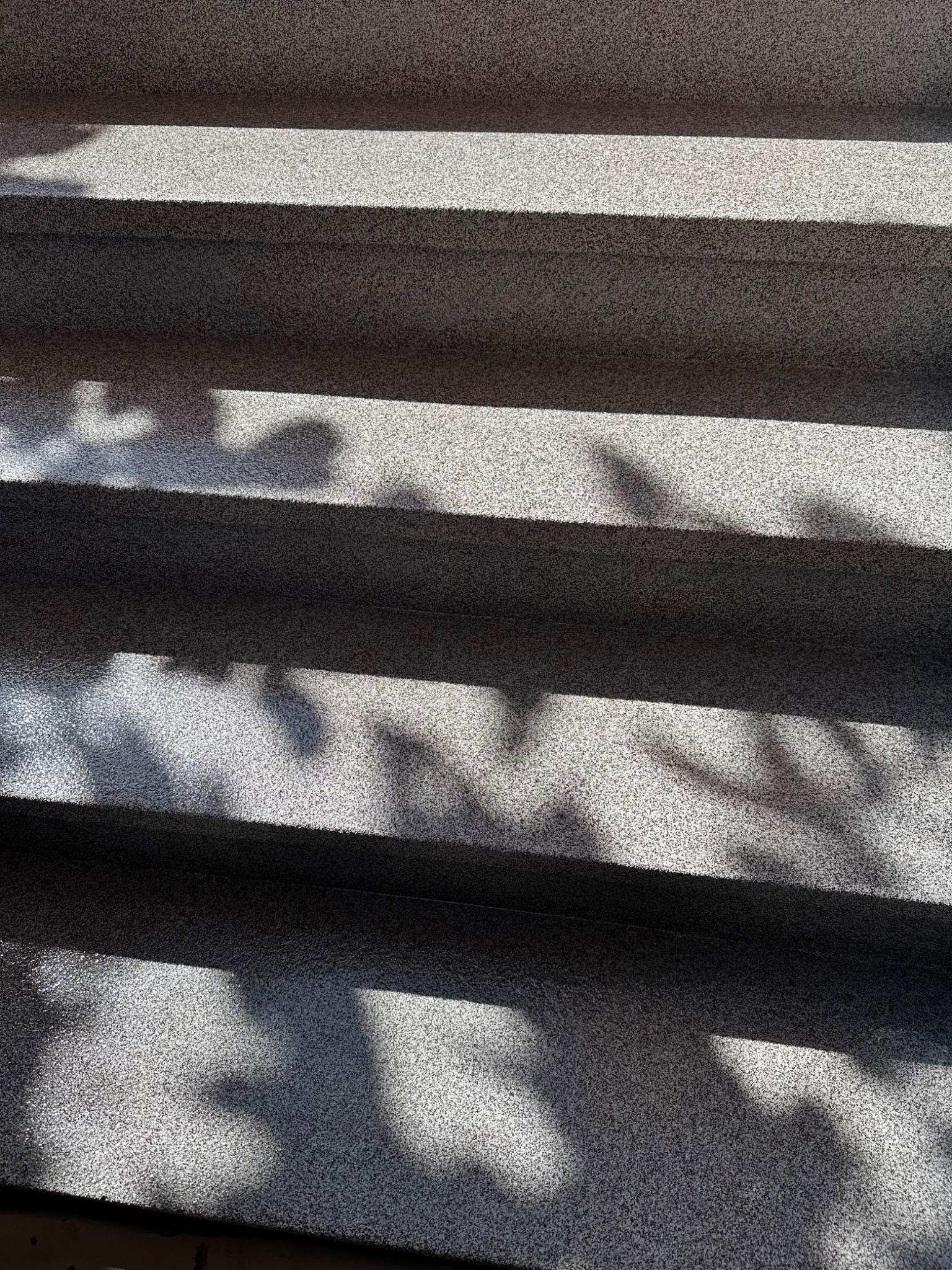 Kamienne schody zewnętrzne w Siedlcu, oświetlone słońcem i cieniami liści, ukazujące teksturę kamienia.