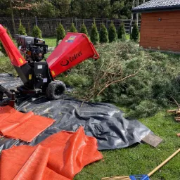 Czerwony rozdrabniacz gałęzi marki Cedrus na trawie obok sterty pociętych gałęzi sosnowych, pomarańczowych work&oacute;w i grabi wachlarzowych.