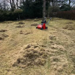Czerwony wertykulator na trawniku z dużą ilością suchej trawy i mchu, widoczne ślady po wertykulacji, w tle drzewa bez liści.