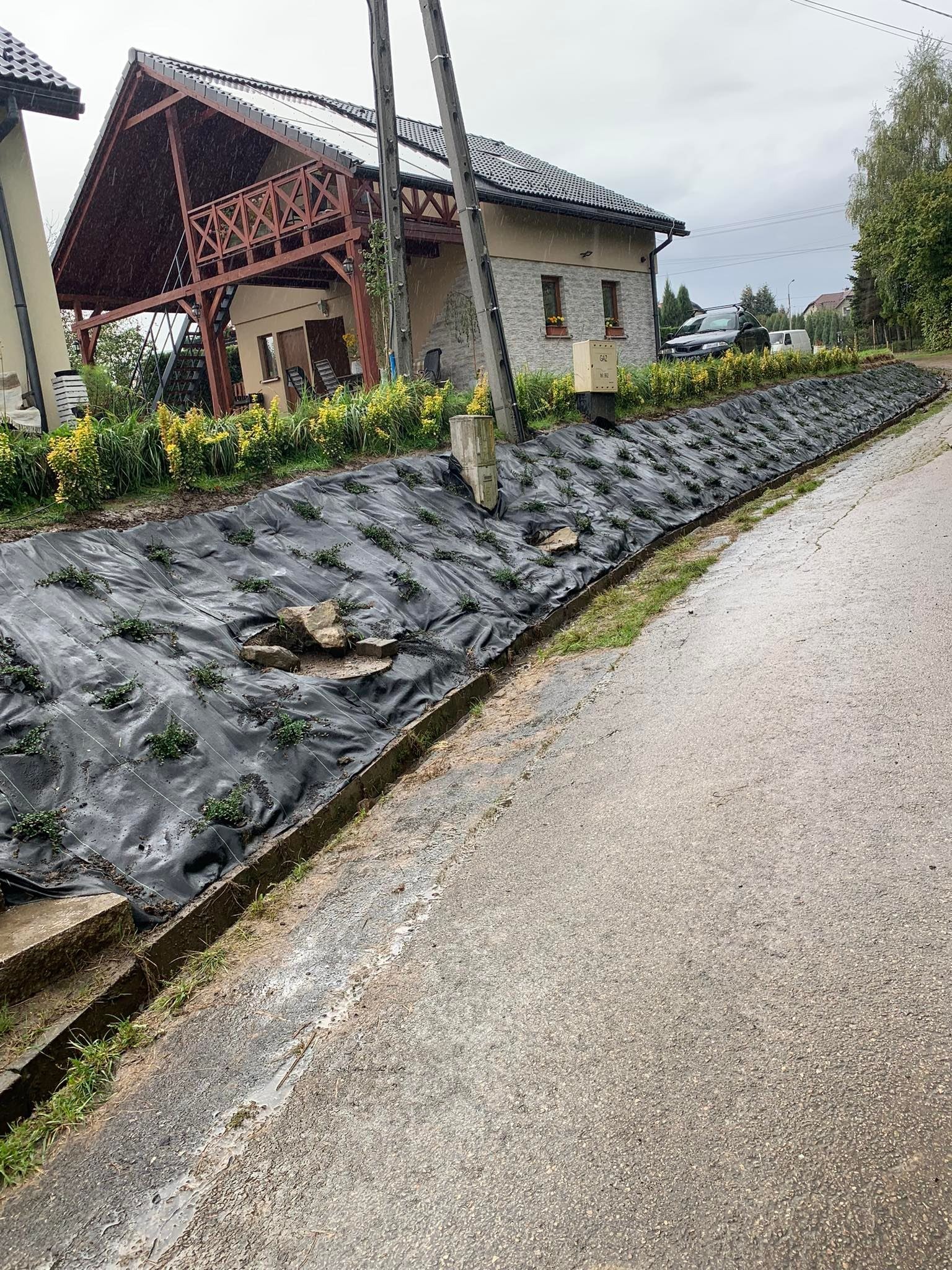 Skarpowanie terenu przy drodze, zabezpieczone czarną agrowłókniną z młodymi sadzonkami, widoczne kamienie i dom w tle, pochmurny dzień.