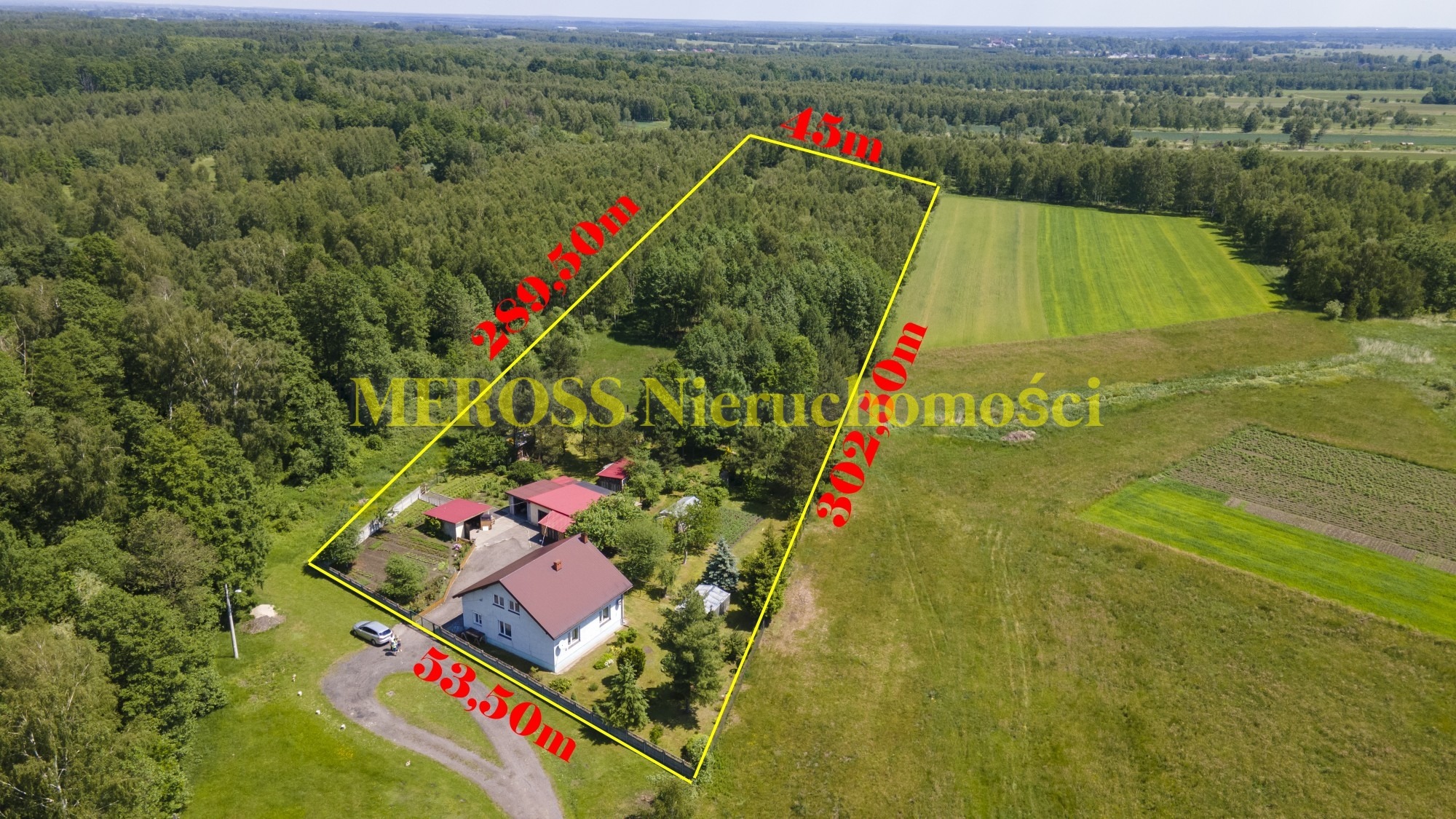 Zdjęcie z lotu ptaka przedstawiające dom z czerwonym dachem i budynki gospodarcze, otoczony polami i lasem, z naniesionymi na zdjęcie wymiarami działki i nazwą firmy 'MEROSS Nieruchomości'.