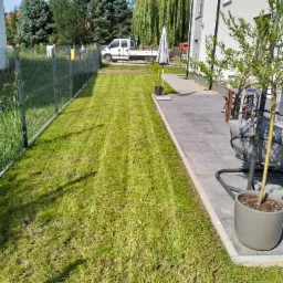 Świeżo skoszony trawnik przydomowy z widocznymi pasami, obok szary chodnik z kostki, w tle zaparkowany biały samochód dostawczy i drzewa iglaste.