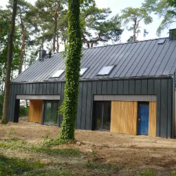 Nowoczesny dom z ciemną blachą na dachu, drewnianą elewacją i niebieskimi drzwiami, otoczony drzewami.