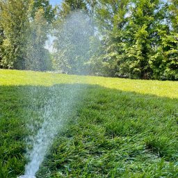 DM CONCEPT DANIEL MARKOWSKI - Automatyczny zraszacz nawadnia trawnik, w tle wysokie tuje i błękitne niebo z chmurami.