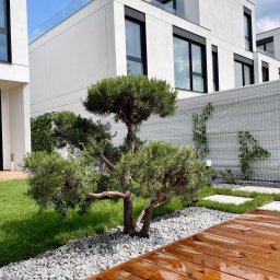 Zakładanie ogrodów Legionowo 1