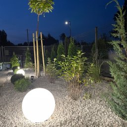 DM CONCEPT DANIEL MARKOWSKI - Nocny widok na ogród z podświetlonymi kulami, świeżo posadzone drzewko z podporami, żwirowe podłoże i różnorodne rośliny ozdobne, oświetlone lampą uliczną w tle.