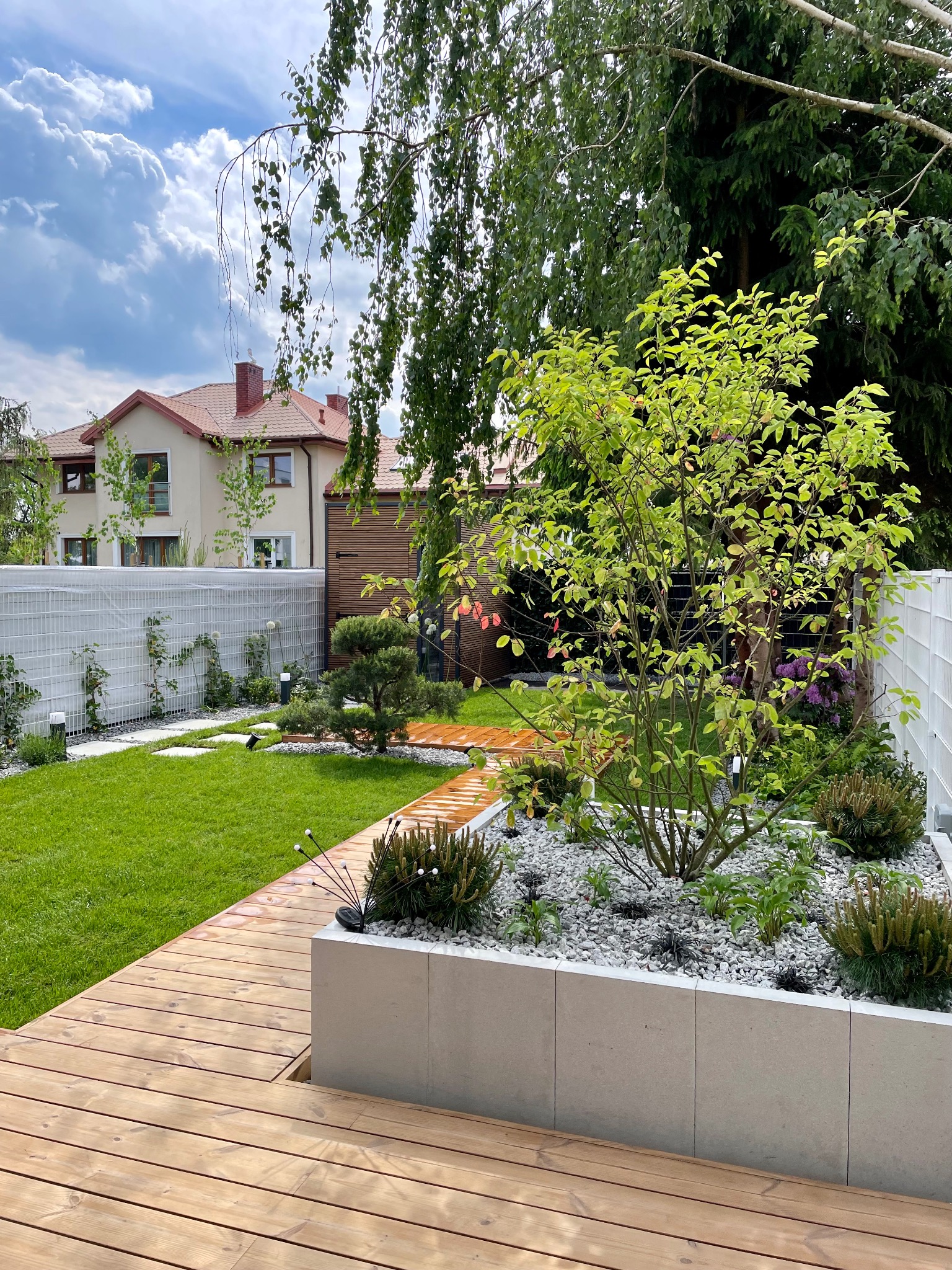Nowoczesny ogród z drewnianym tarasem, podwyższoną rabatą wypełnioną białym grysem i młodym drzewem o jasnozielonych liściach, w tle dom z czerwoną dachówką i białą siatką ogrodzeniową.