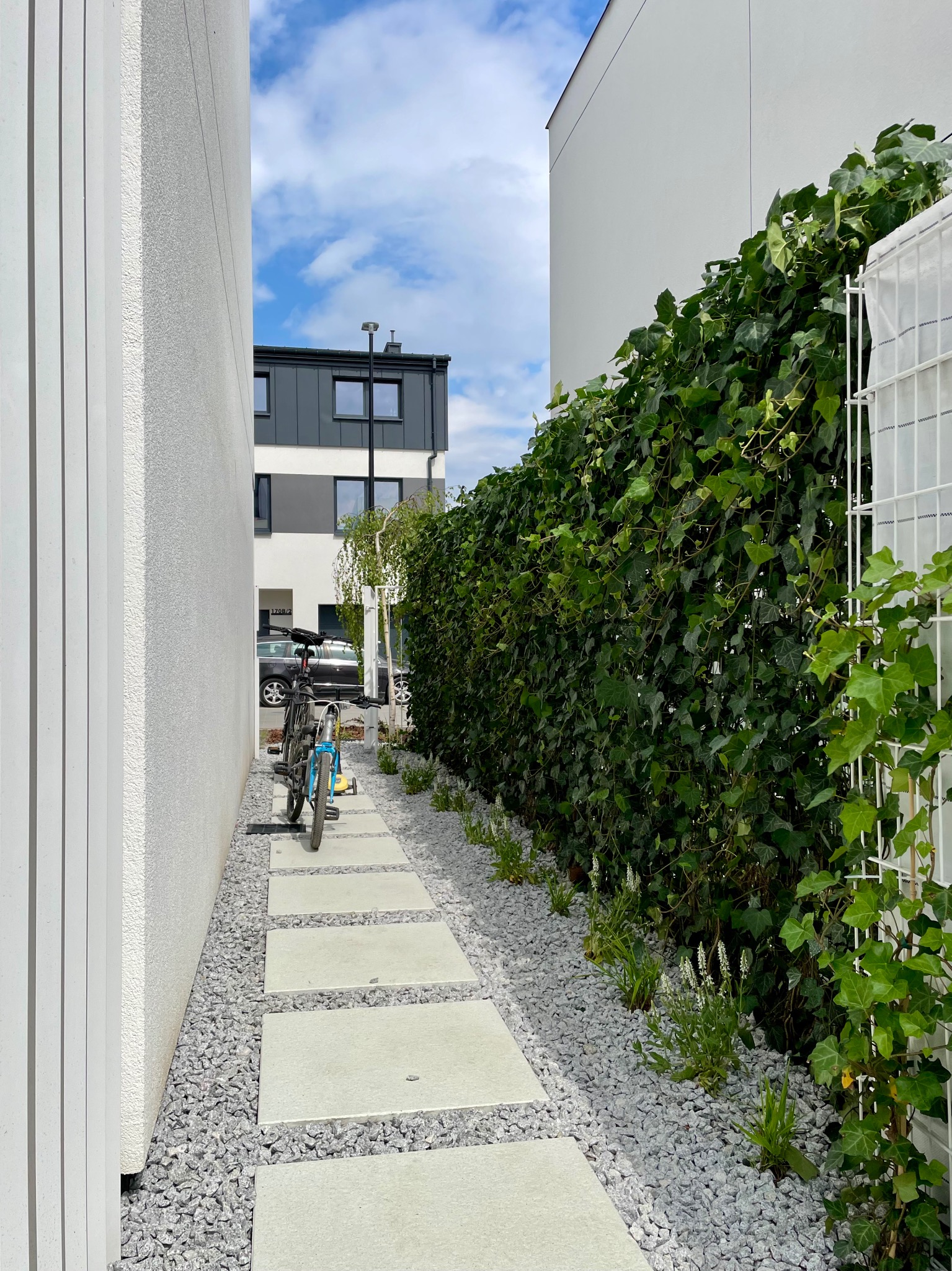 Wąska ścieżka z betonowych płyt prowadząca wzdłuż ściany budynku, wysypana drobnym szarym żwirem, z rowerami opartymi o ścianę i żywopłotem z bluszczu po prawej stronie.