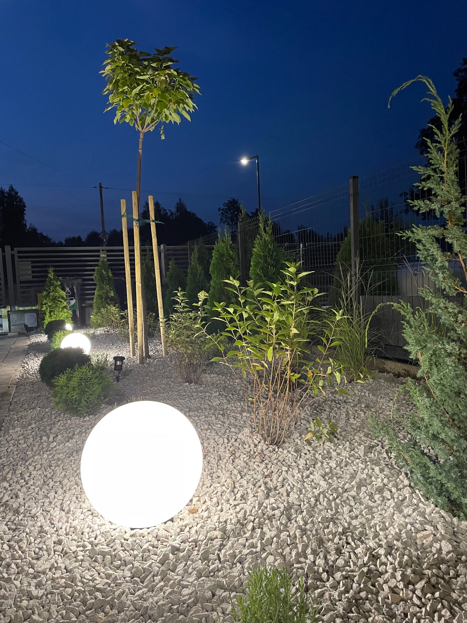 Nocny widok na ogród z podświetlonymi kulami, świeżo posadzone drzewko z podporami, żwirowe podłoże i różnorodne rośliny ozdobne, oświetlone lampą uliczną w tle.
