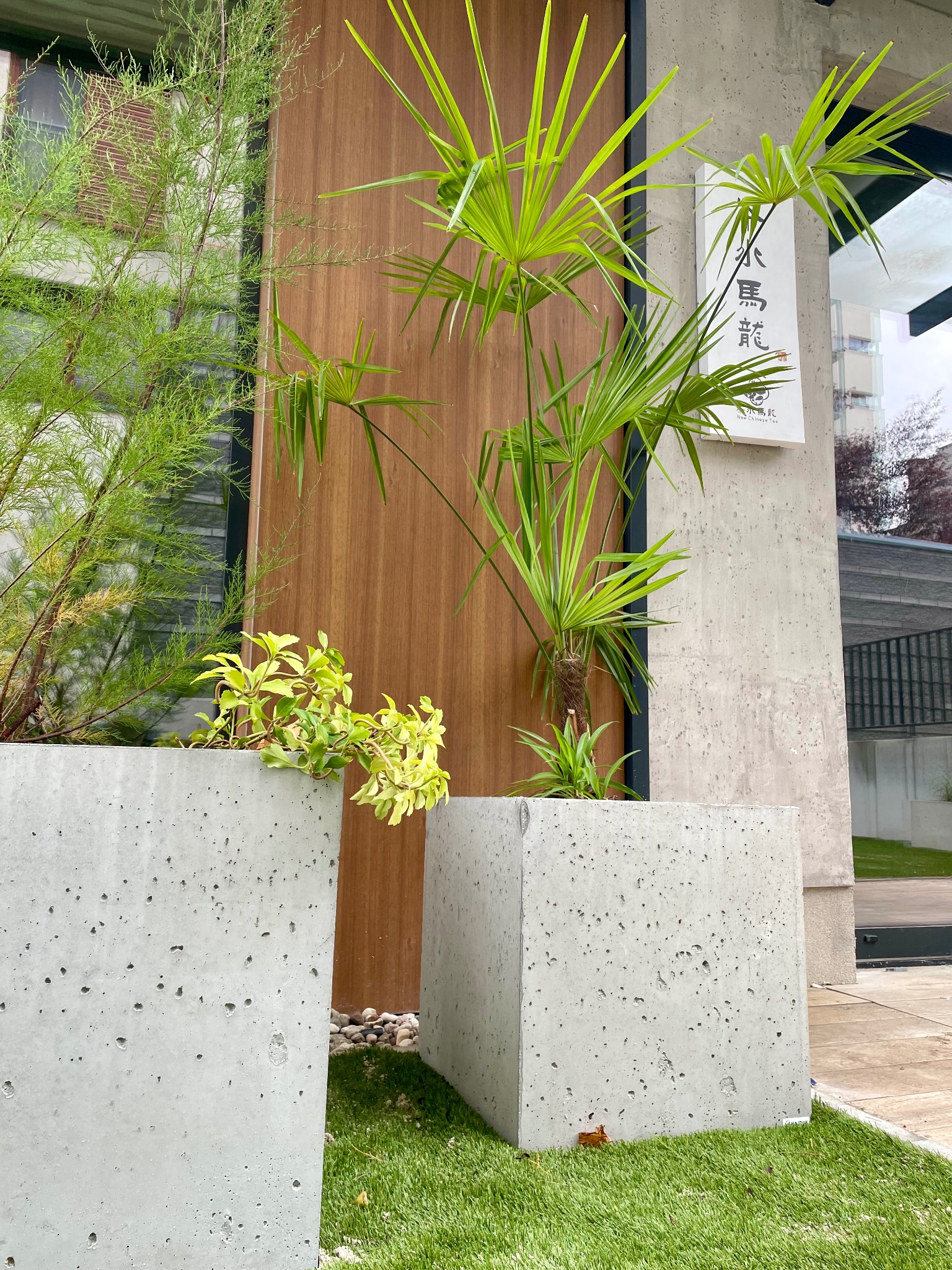 Dwa betonowe, porowate kwietniki kubiczne z różnymi roślinami, w tym palmą wachlarzową, na sztucznej trawie przed budynkiem z drewnianą ścianą i betonową kolumną z szyldem.