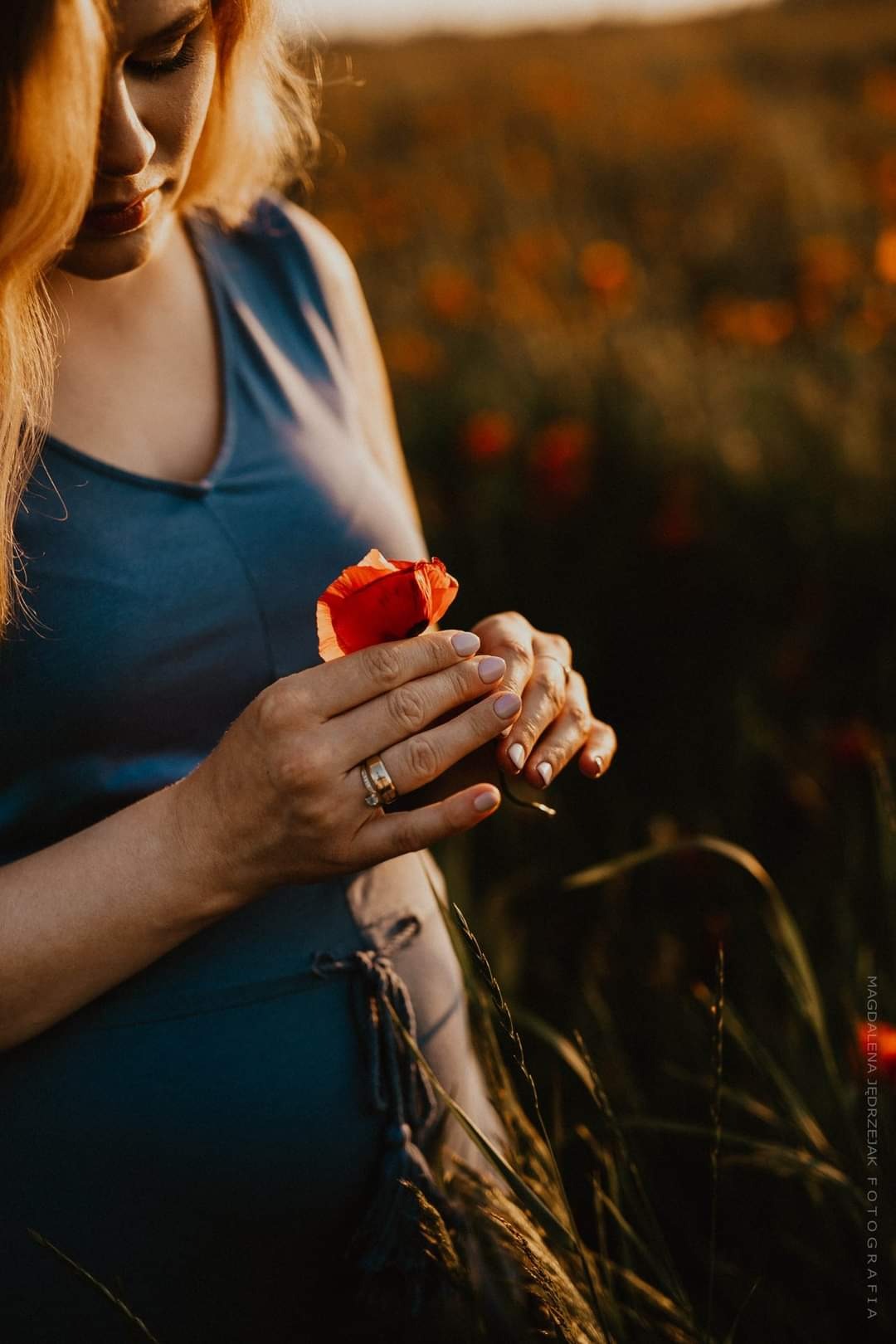 Kobieta w ciąży, w błękitnej sukience, trzyma delikatnie czerwony mak na łące, ciepłe światło zachodzącego słońca.