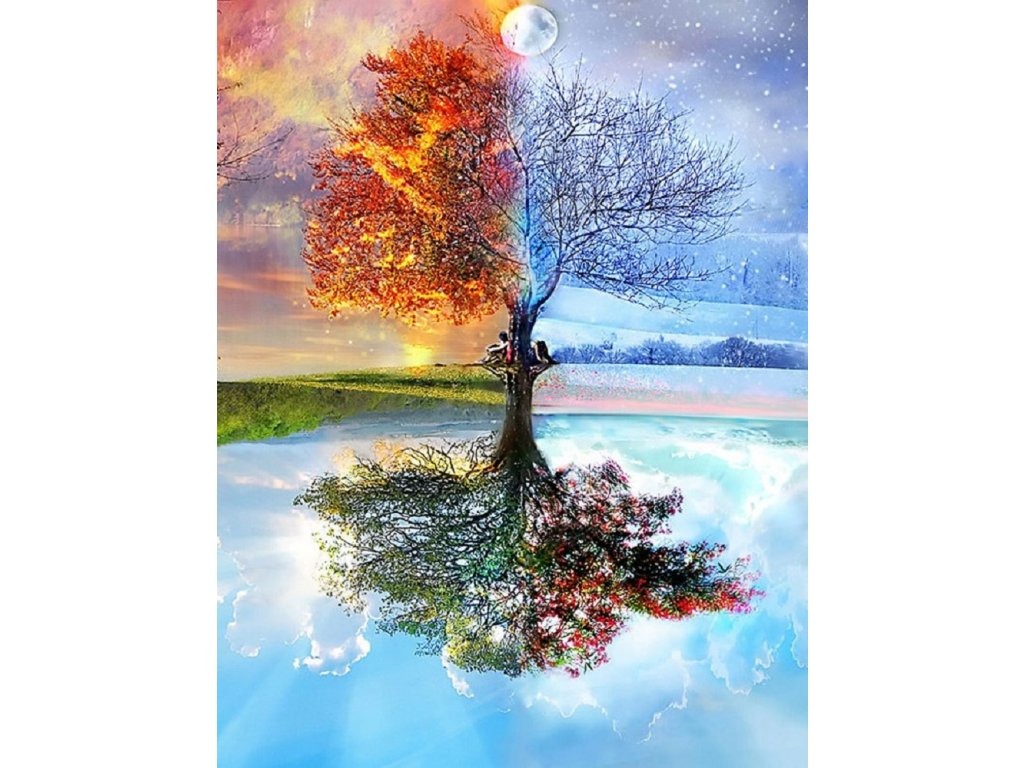 Drzewo z połową korony w jesiennych barwach i połową zimowej, z parą siedzącą na gałęzi, odbijające się w wodzie z letnią i wiosenną koroną, tworząc surrealistyczny krajobraz czterech pór roku.