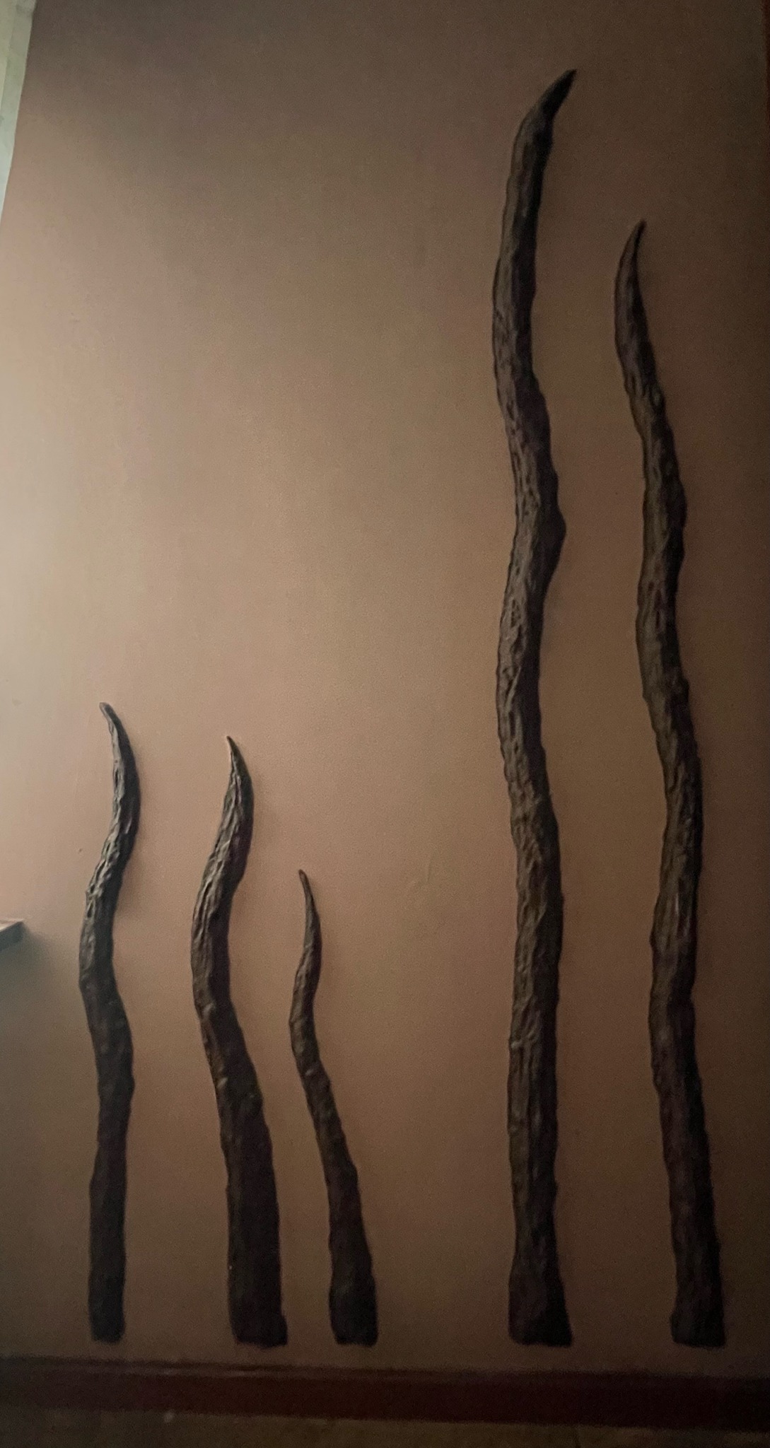 Dekoracyjne, ciemne, wystające formy przypominające gałęzie lub korzenie przymocowane do ściany w jasnym odcieniu brązu, tworzące artystyczną kompozycję.