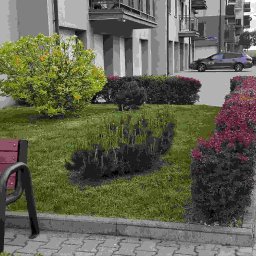 EVERY ON SPÓŁKA Z OGRANICZONĄ ODPOWIEDZIALNOŚCIĄ - Kolorowy ogródek z ławką na osiedlu, z zielonymi krzewami i bordowymi kwiatami. W tle budynek mieszkalny i zaparkowane samochody, w tym van z napisem Serwis Sprzątający.