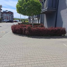 EVERY ON SPÓŁKA Z OGRANICZONĄ ODPOWIEDZIALNOŚCIĄ - Kostka brukowa na podjeździe do garażu w nowoczesnym osiedlu, z widocznym białym vanem i starannie przyciętymi krzewami.