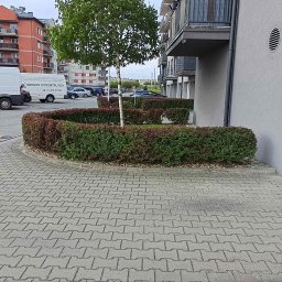 EVERY ON SPÓŁKA Z OGRANICZONĄ ODPOWIEDZIALNOŚCIĄ - Szara kostka brukowa na parkingu osiedlowym z białym busem 'Serwis Sprzątający' w tle i zadbanym żywopłotem. Widok na budynki mieszkalne i garaże.