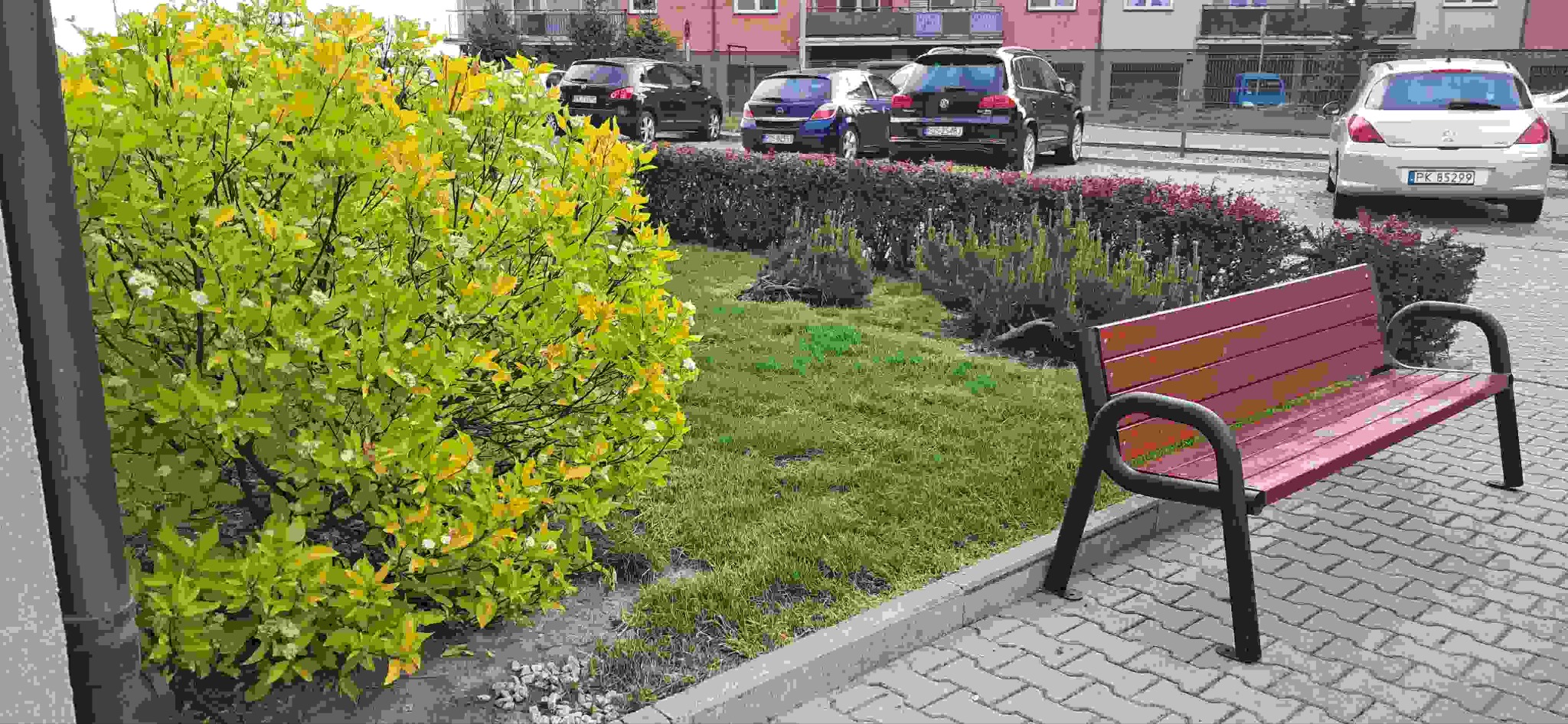 Zadbany teren zielony w Kaliszu z krzewami, trawnikiem i ławką. W tle zaparkowane samochody. Widok na osiedle mieszkaniowe, spokojna okolica.