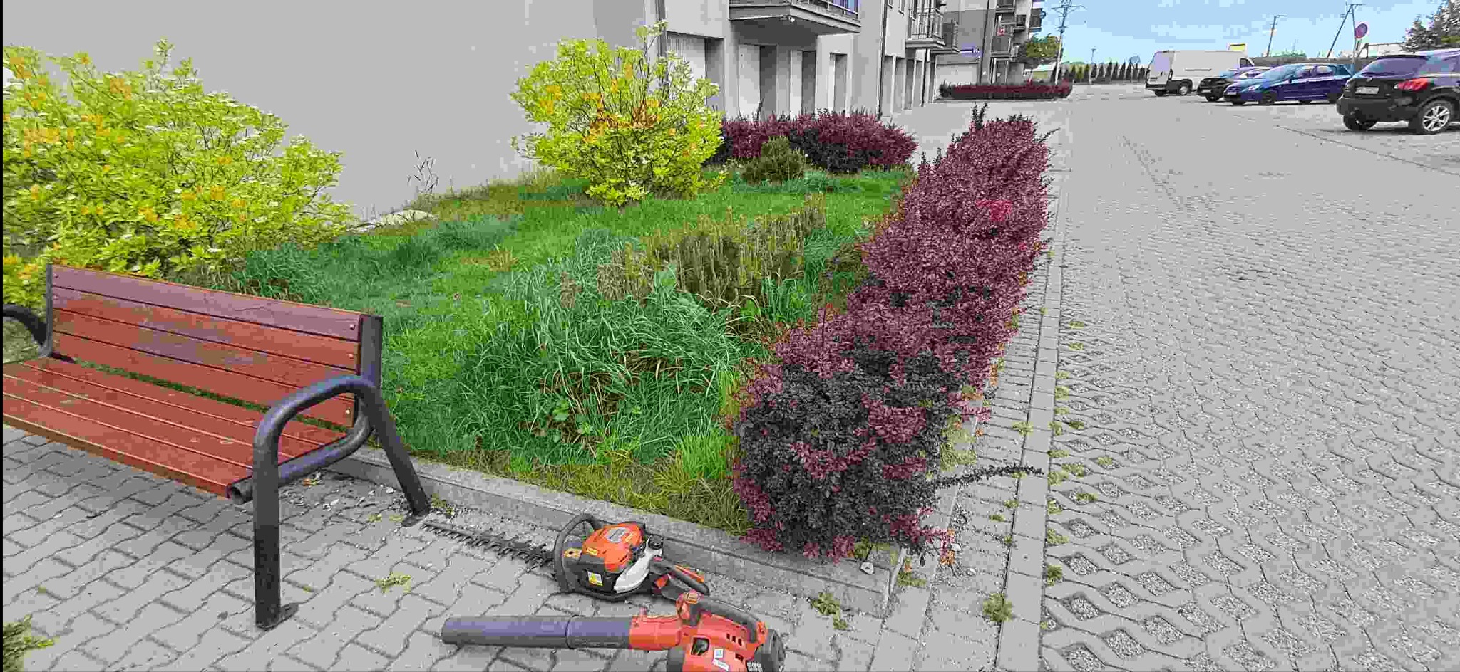 Przycięte krzewy wzdłuż chodnika przy bloku mieszkalnym, obok ławki i narzędzi ogrodniczych: nożyce do żywopłotu i dmuchawa do liści. Widok na parking.