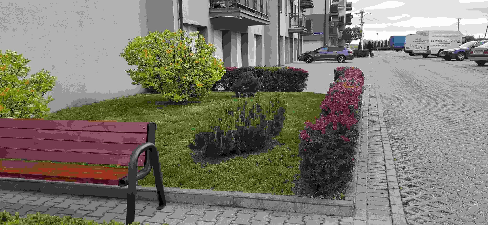 Kolorowy ogródek z ławką na osiedlu, z zielonymi krzewami i bordowymi kwiatami. W tle budynek mieszkalny i zaparkowane samochody, w tym van z napisem Serwis Sprzątający.
