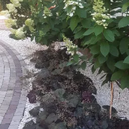 Wykonanie Rabaty, w ogrodzie frontowym.