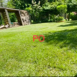 Rozległy trawnik w ogrodzie z drewnianą konstrukcją na drewno w tle, oświetlony jasnym słońcem.