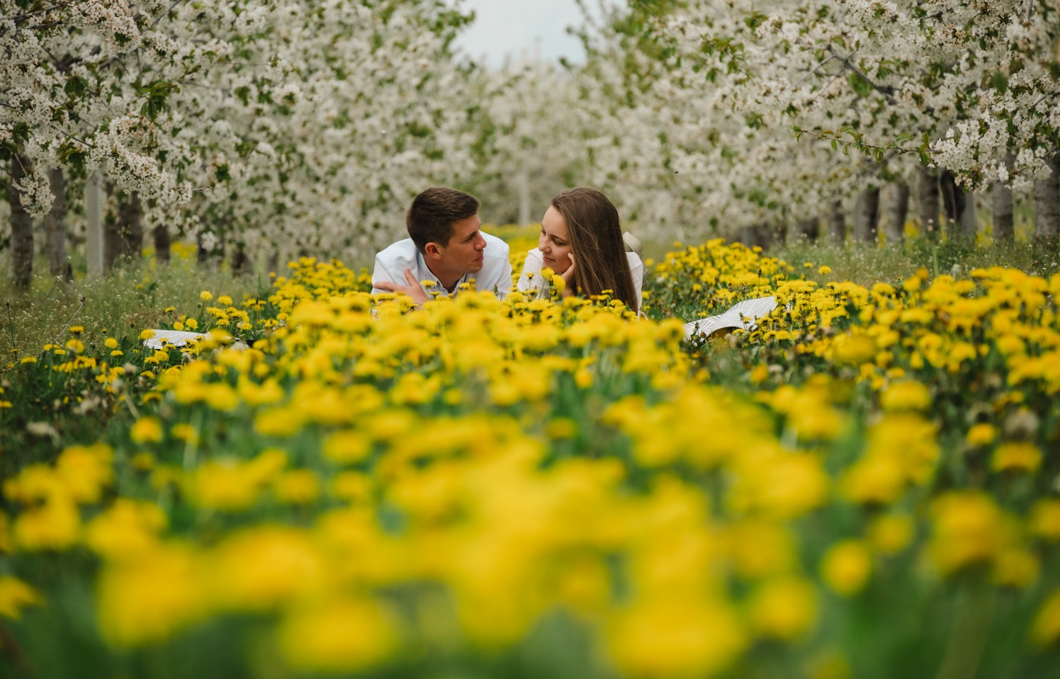 Para leży na łące pełnej żółtych kwiatów, w tle kwitnące drzewa owocowe, delikatne oświetlenie.