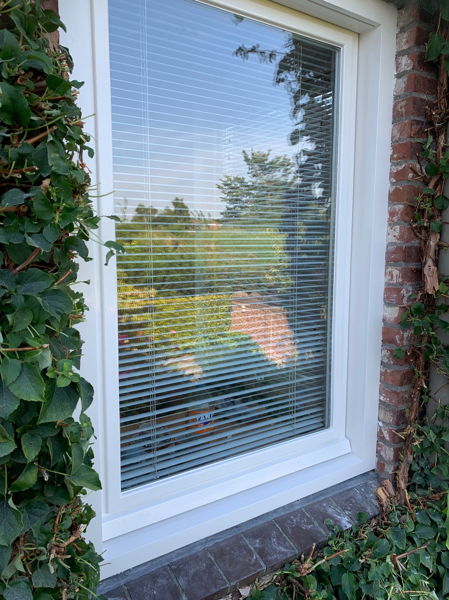 Białe okno z żaluzjami, widok z zewnątrz, ceglana ściana porośnięta bluszczem.