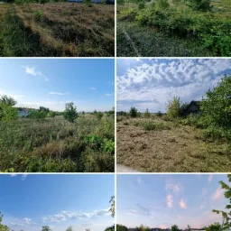 Kompozycja sześciu zdjęć przedstawiających teren przed i po koszeniu trawy, ukazująca różnice w wyglądzie i porządku, z widocznymi drzewami i budynkami w tle.