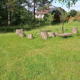 Koszenie trawników i trawy Człuchów - Doskonała Pielęgnacja Ogrodów Człuchów