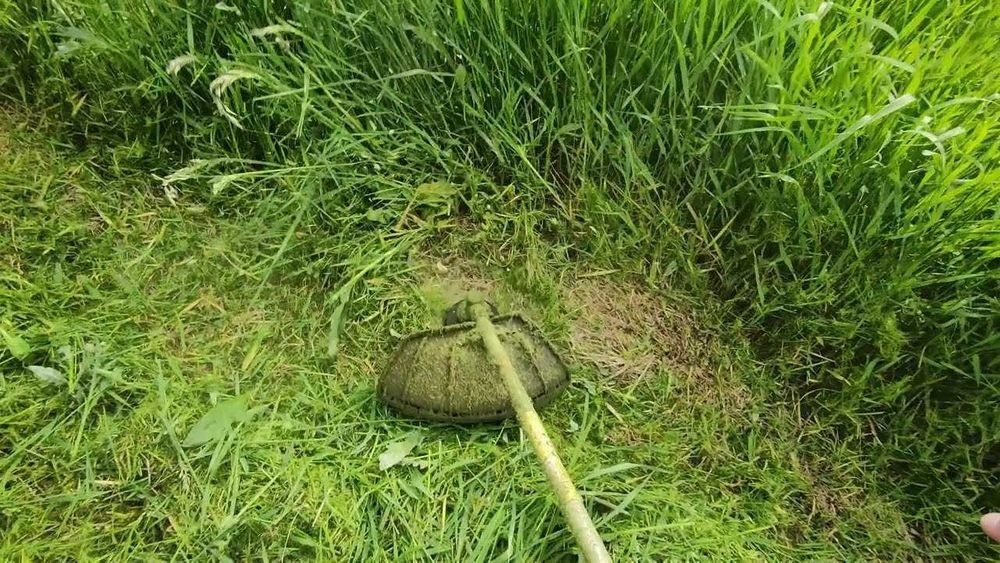 Głowica podkaszarki w trawie, widoczne ścięte źdźbła i dłuższe, jeszcze nie skoszone trawy.