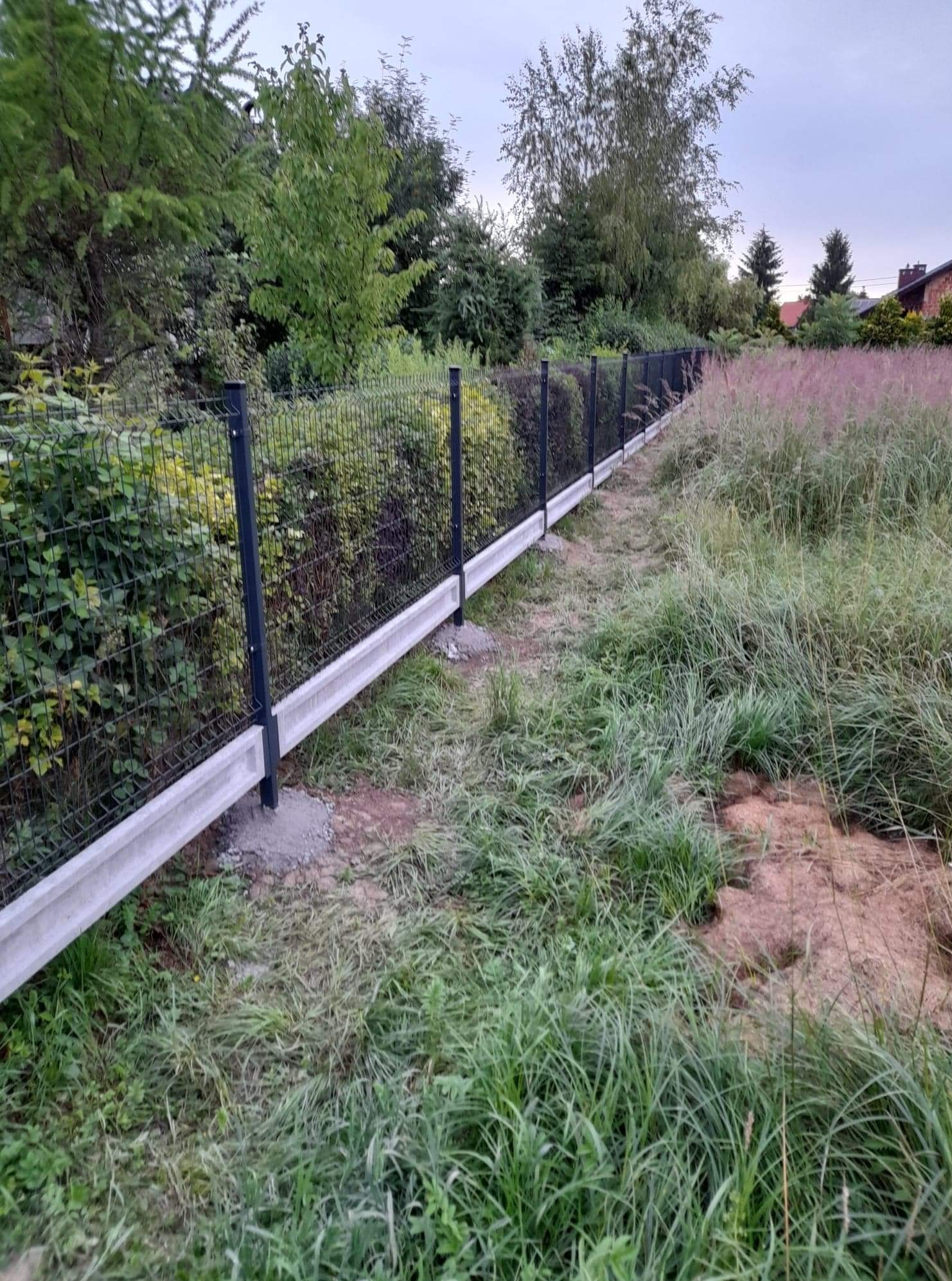 Nowoczesne ogrodzenie panelowe z podmurówką betonową, widok z perspektywy trawnika z wysoką trawą, tło z zielenią i domami.