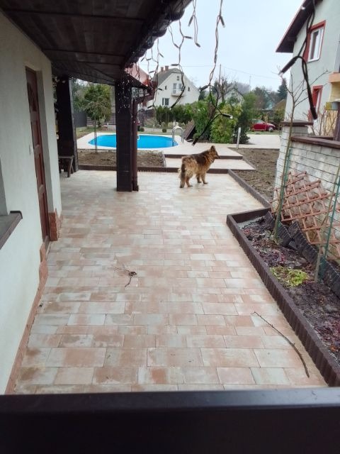 Nowo ułożona, brązowa kostka brukowa na tarasie, z widocznym psem rasy owczarek niemiecki w tle, basenem i domami jednorodzinnymi w pochmurny dzień.