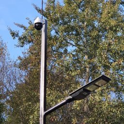 Paweł Miśkiewicz - Słup oświetleniowy z kamerą obrotową, zamontowany na tle drzew z zielonymi liśćmi i błękitnym niebem.