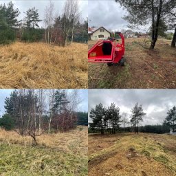 Green Garden Mikołaj Szymalak - Kompozycja czterech ujęć terenu przed i po użyciu rębaka do gałęzi, z widocznym czerwonym rębakiem w jednym z kadrów, drzewa iglaste i brzozy w tle, pochmurne niebo.