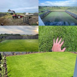 Wycinka drzew Gniezno 4