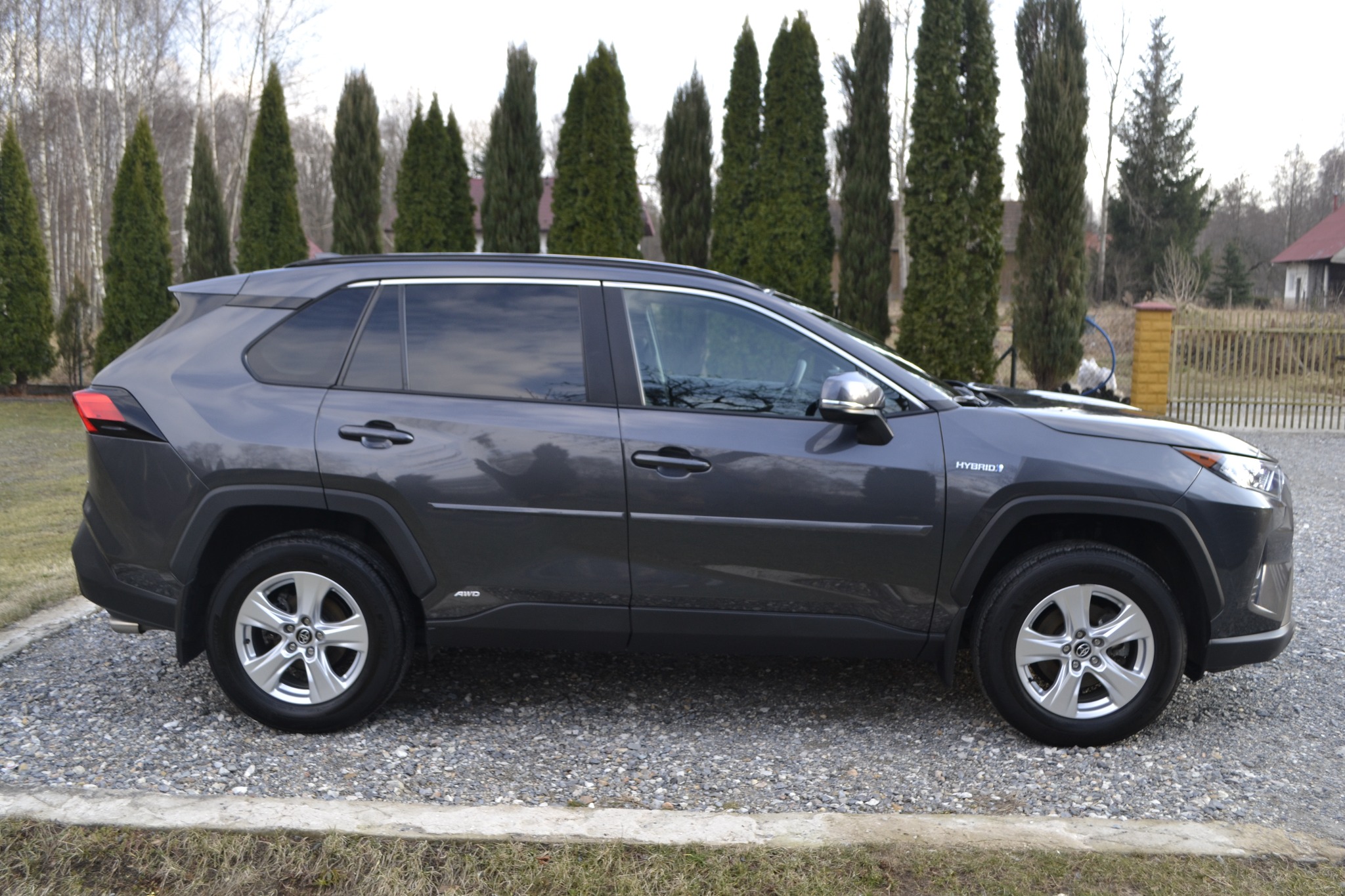 Szary samochód typu SUV, Toyota RAV4 Hybrid, zaparkowany na żwirowym podjeździe, z rzędem wysokich, smukłych drzew iglastych w tle.