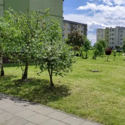 Rozległy trawnik przed blokiem mieszkalnym z młodymi drzewami liściastymi, chodnik z kostki brukowej wzdłuż krawędzi trawnika, błękitne niebo z obłokami w tle.