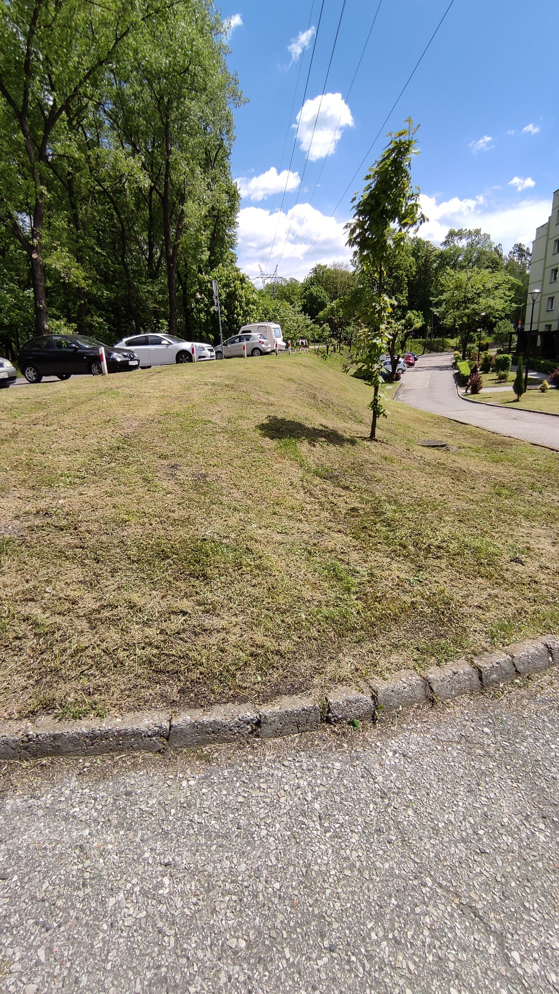 Trawa po koszeniu na pagórku, widoczne zaparkowane samochody, drzewa i budynek w tle, słoneczny dzień.